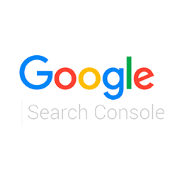 <h5>Google Console Search</h5>